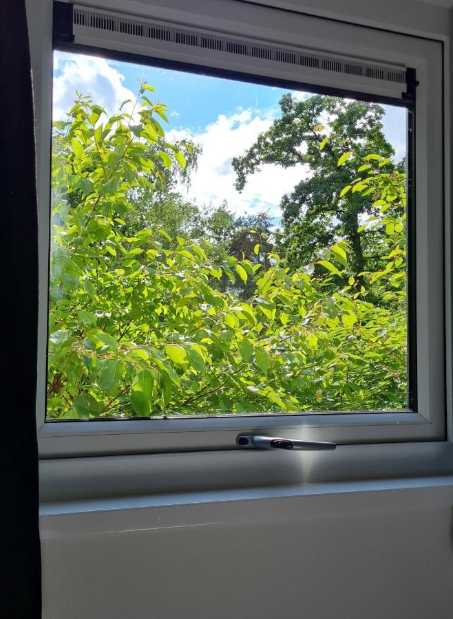 Lodge Goudvink Nunspeet Veluwe Экстерьер фото